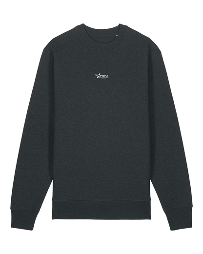 Bluza z okazji 10-lecia PSPA